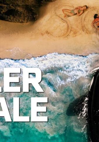 فيلم Killer Whale 2026 مترجم