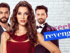 مسلسل الانتقام الحلو الحلقة 12 مترجمة