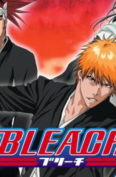 Bleach