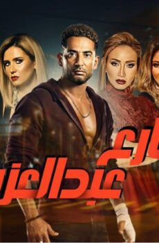 شارع عبد العزيز 2