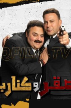 فيلم صقر وكناريا (2026)