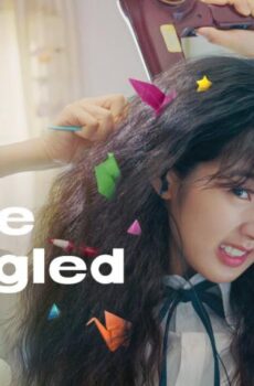 فيلم Love Untangled 2025 مترجم