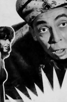 فيلم لوكاندة المفاجآت (1959)