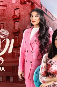 مسلسل نون النسوة الحلقة 16 السادسة عشر
