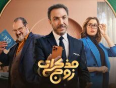 مسلسل مذكرات زوج الحلقة 10 العاشرة