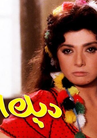 فيلم ديك البرابر (1992)