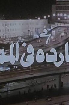 فيلم مطاردة في الممنوع (1993)