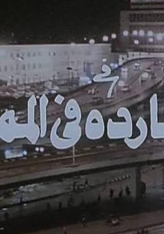 فيلم مطاردة في الممنوع (1993)