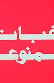 فيلم رغبات ممنوعة (1972)