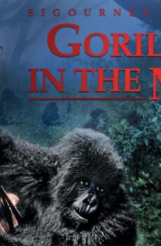 فيلم Gorillas in the Mist 1988 مترجم