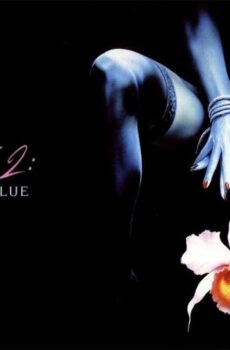 فيلم Wild Orchid II: Two Shades of Blue 1991 مترجم