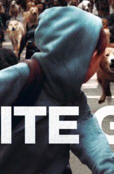 فيلم White God 2014 مترجم