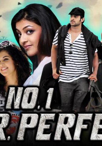 فيلم Mr Perfect 2011 مترجم