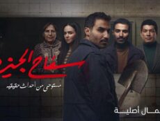 مسلسل سفاح الجيزة الحلقة 8 (الأخيرة)