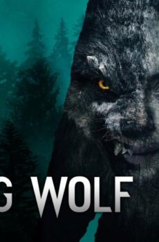 فيلم Viking Wolf 2022 مترجم