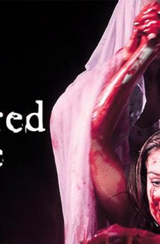فيلم The Blood Spattered Bride 1972 مترجم