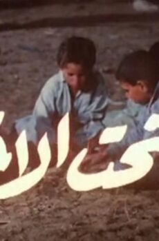 فيلم امرأة تحت الاختبار (1986)