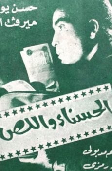 فيلم الحسناء واللص (1971)