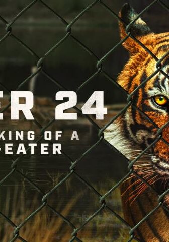 فيلم Tiger 24 2022 مترجم