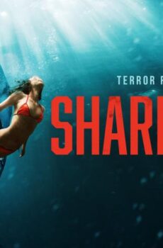 فيلم Shark Bait 2022 مترجم