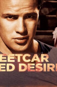 فيلم A Streetcar Named Desire 1951 مترجم