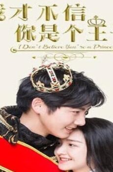 فيلم I Don’t Believe You’re a Prince 2020 مترجم