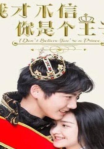 فيلم I Don’t Believe You’re a Prince 2020 مترجم