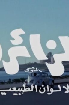 فيلم الزائرة (1972)