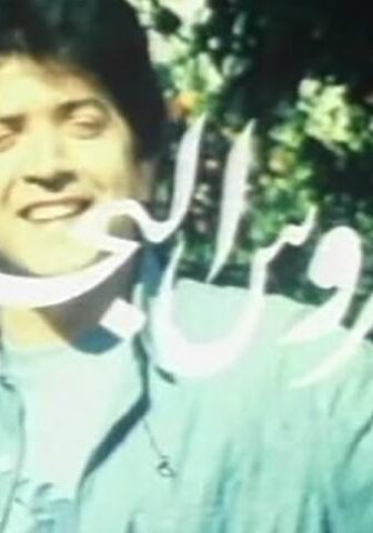 فيلم عروس البحر (1980)