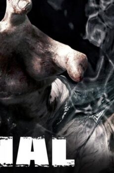 فيلم The Canal 2014 مترجم