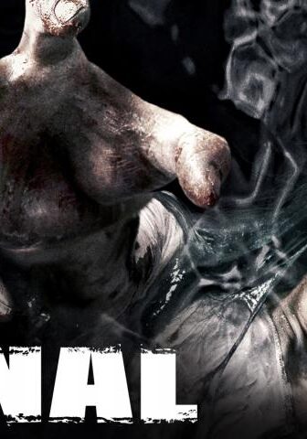 فيلم The Canal 2014 مترجم