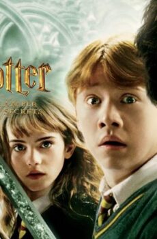 فيلم Harry Potter and the Chamber of Secrets 2002 مترجم