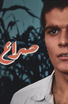 فيلم صراع في الوادي (1954)
