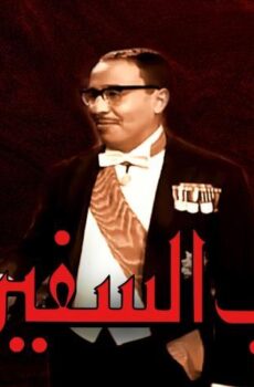 فيلم جناب السفير (1966)