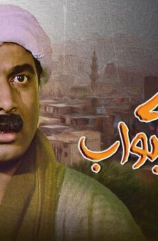 فيلم البيه البواب (1978)