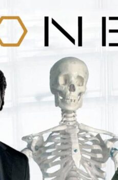 Bones