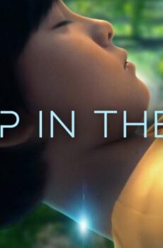 فيلم Sheep in the Box 2026 مترجم