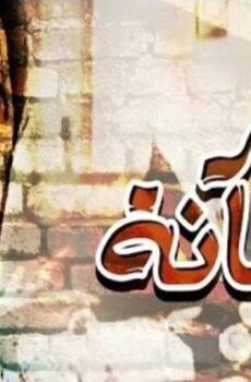 فيلم بئر الخيانة (1987)