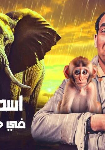 فيلم إسماعيل يس في جنينة الحيوانات (1957)