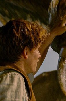 فيلم Fantastic Beasts: A Natural History 2022 مترجم