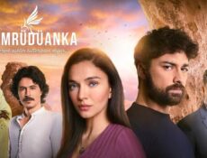 مسلسل طائر العنقاء الحلقة 20 مترجمة – Zümrüdüanka