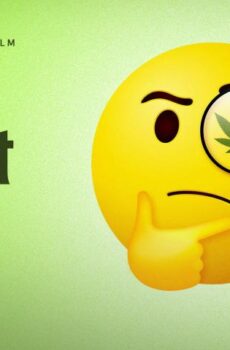 فيلم Going to Pot: The Highs and Lows of It 2021 مترجم