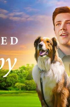 فيلم Rescued by Ruby 2022 مترجم