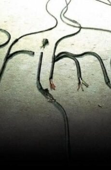فيلم Primer 2004 مترجم