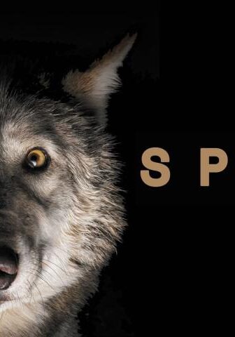 فيلم Spoor 2017 مترجم