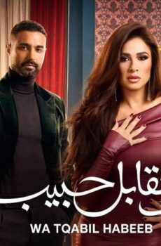 مسلسل وتقابل حبيب الحلقة 28 الثامنة والعشرون