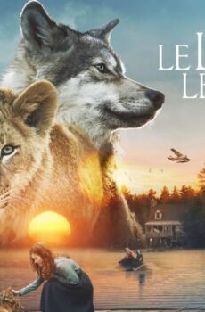 فيلم The Wolf and the Lion 2021 مترجم