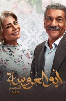 أبو العروسة 3