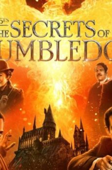 فيلم Fantastic Beasts: The Secrets of Dumbledore 2022 مترجم