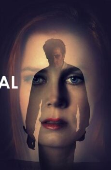 فيلم Nocturnal Animals 2016 مترجم